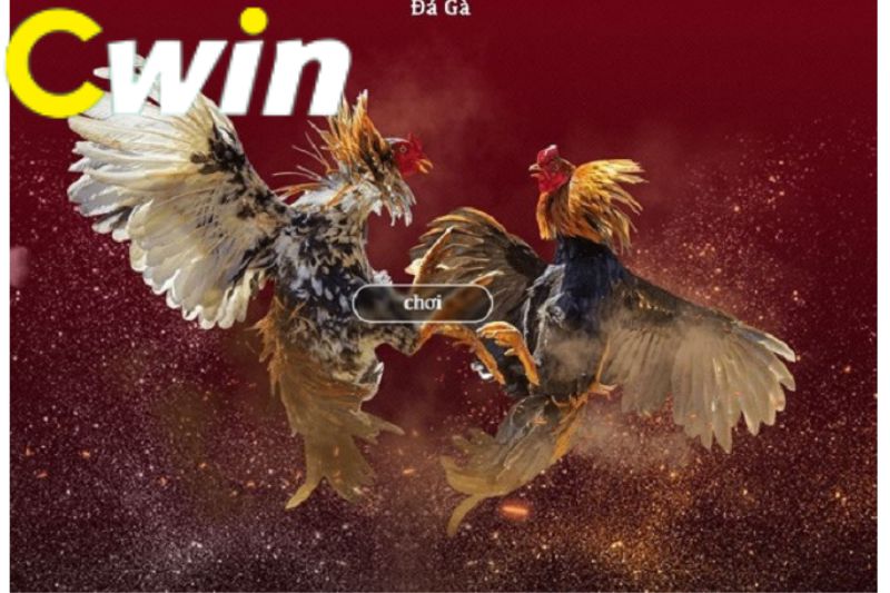 Chiến dịch quảng bá của 1Bmw thật tuyệt vời - 1Bmw
