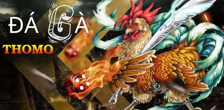 68Game cam kết cung cấp nhiều lựa chọn cá cược đa dạng - 68Game
