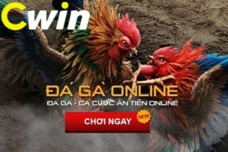 Các sản phẩm đáp ứng nhu cầu giải trí của người dùng cấp độ 888B - 888B