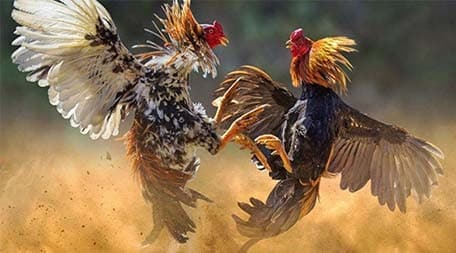Mẹo quan trọng dành cho người mới bắt đầu khi tải ứng dụng F8bet - F8bet