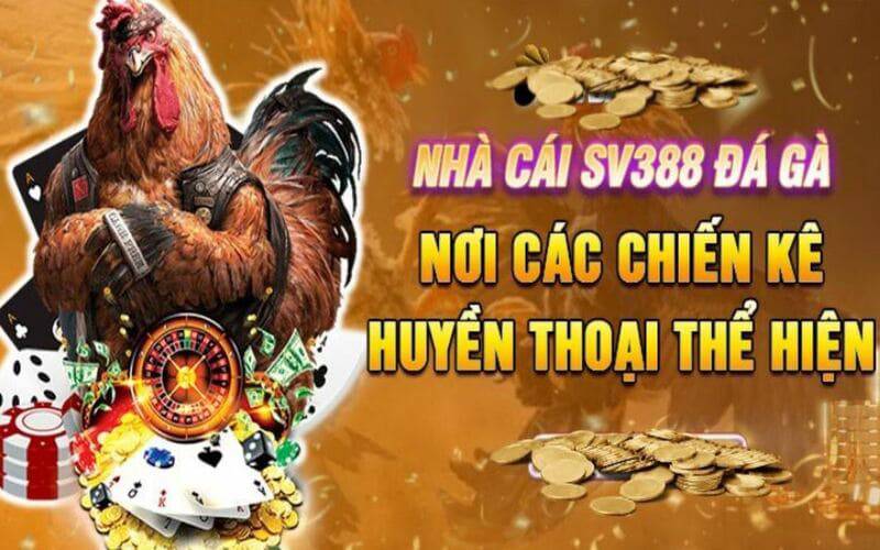 Những lợi ích khi trở thành thành viên mới của Vnbet - Vnbet