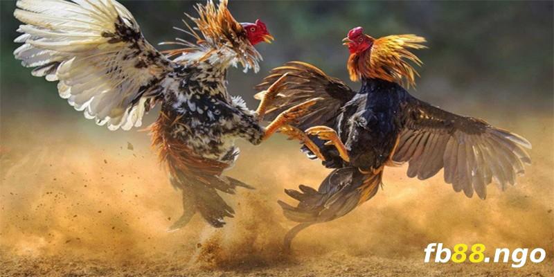Những điều quan trọng cần nhớ khi nhận thông tin khuyến mãi cấp Aw8 - Aw8