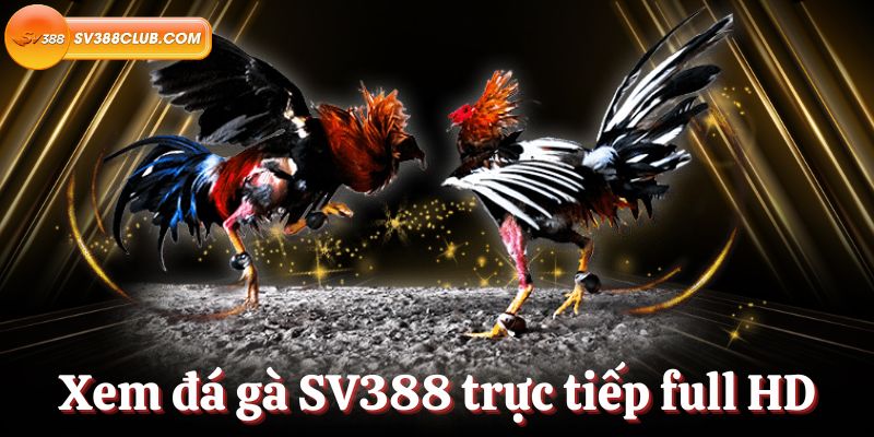 Câu hỏi thường gặp về chỗ ở Vaobo88 - Vaobo88