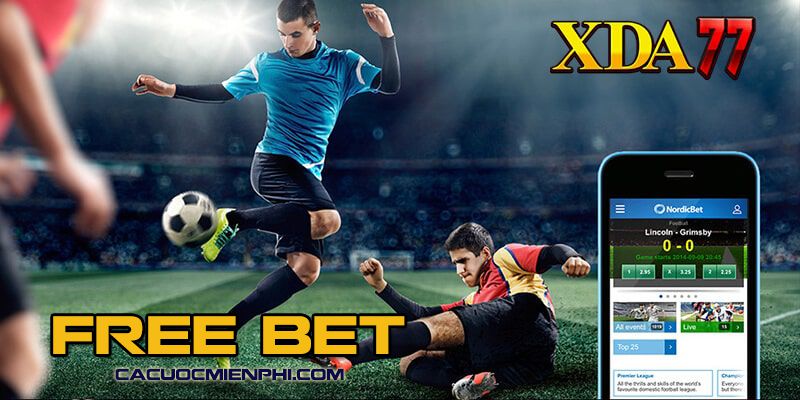 Chất lượng sản phẩm 79King - 79King