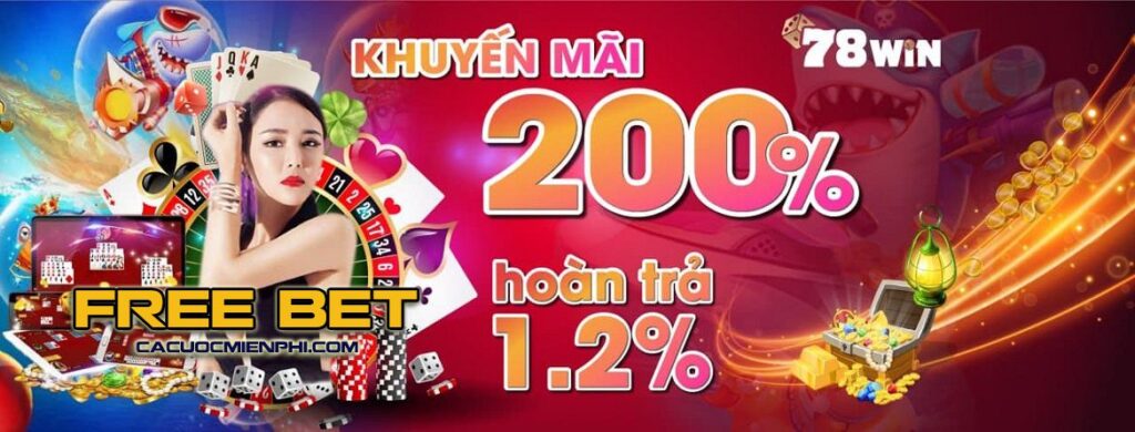 Điều khoản và điều kiện sử dụng của 33King - 33King