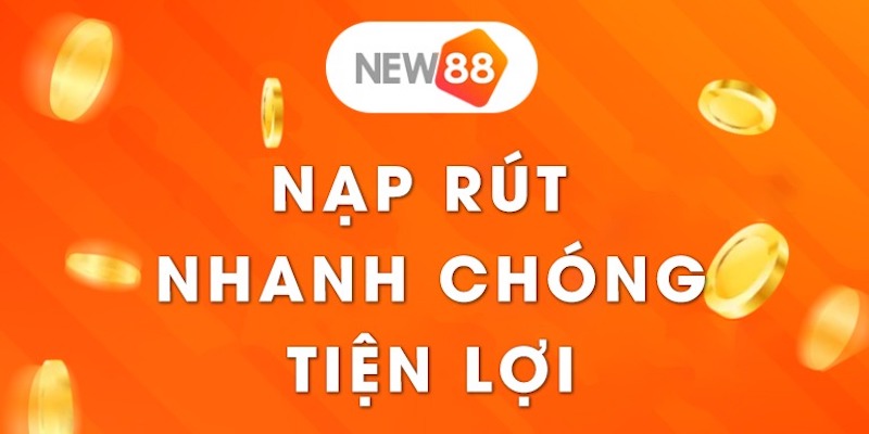 Một số chương trình giải trí cấp 7Ball - 7Ball