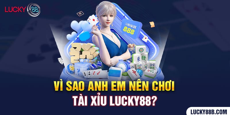 Yêu cầu để trở thành nhà phân phối Dd7 - Dd7