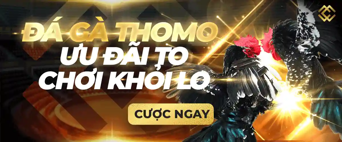 Những kinh nghiệm quan trọng trong lĩnh vực Net88 - Net88