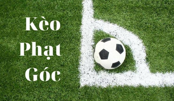 Các bước đăng ký Neo79 nhanh chóng trên điện thoại di động của bạn - Neo79