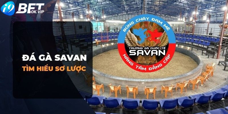 Thông tin liên quan đến các chương trình khuyến mãi của Qh888 Palace - Qh888