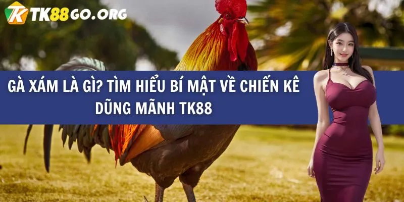 Trò chơi vui nhộn Fun88 - Fun88