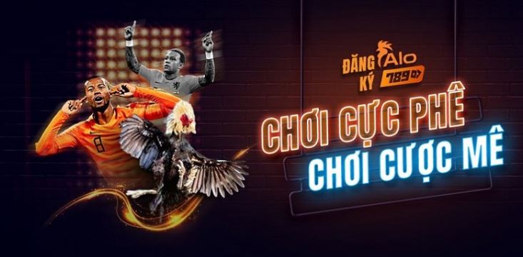 Bạn nên trải nghiệm những ưu điểm của dịch vụ trực tuyến đạt chuẩn Dp568 - Dp568
