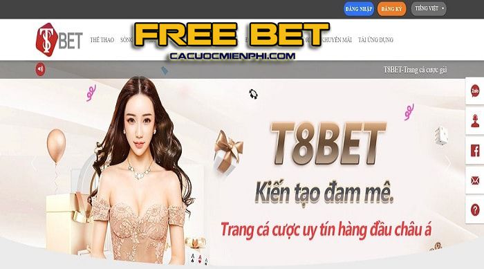 Các đại lý đạt chuẩn V7bet cung cấp dịch vụ hỗ trợ nhiệt tình và chu đáo - V7bet